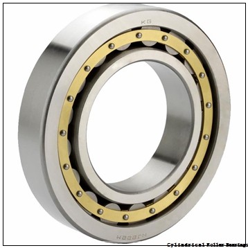 4.273 Inch | 108.522 Millimeter x 7.087 Inch | 180 Millimeter x 1.614 Inch | 41 Millimeter LINK BELT M1317EX Cylindrical Roller Bearings