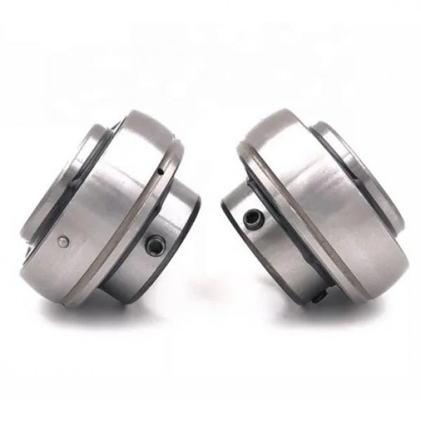3X10X4 mm F623zz F623z RF1030zz W623zz FL623zz Rkf310 F623 RF1030 W623 Zz/2z/Z C0/C2/Mc3/Cm Metal Shielded Miniature Radial Flange Deep Groove Ball Bearing