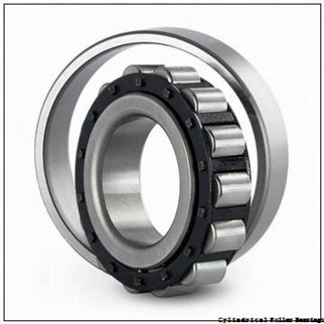 2.559 Inch | 65 Millimeter x 4.724 Inch | 120 Millimeter x 0.906 Inch | 23 Millimeter  LINK BELT MA1213EXC3  Cylindrical Roller Bearings